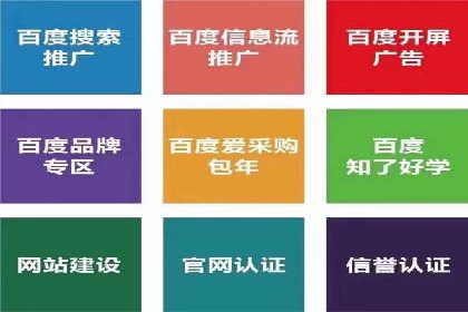 百度运营推广全攻略：成功案例深度剖析